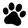 Mono