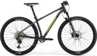 Велосипед MERIDA BIG.NINE 2023 NX-edition dark silver (green/silver)