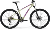 Велосипед MERIDA BIG.NINE 300 2023 silk champagne
