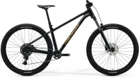 Велосипед MERIDA BIG.TRAIL 300 2025