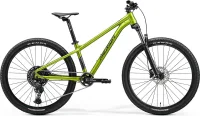 Велосипед MERIDA MATTS J.CHAMPION 2025 fall green