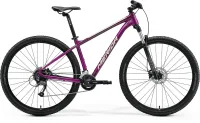 Велосипед MERIDA BIG.NINE 60 2024 silk purple (champagne)